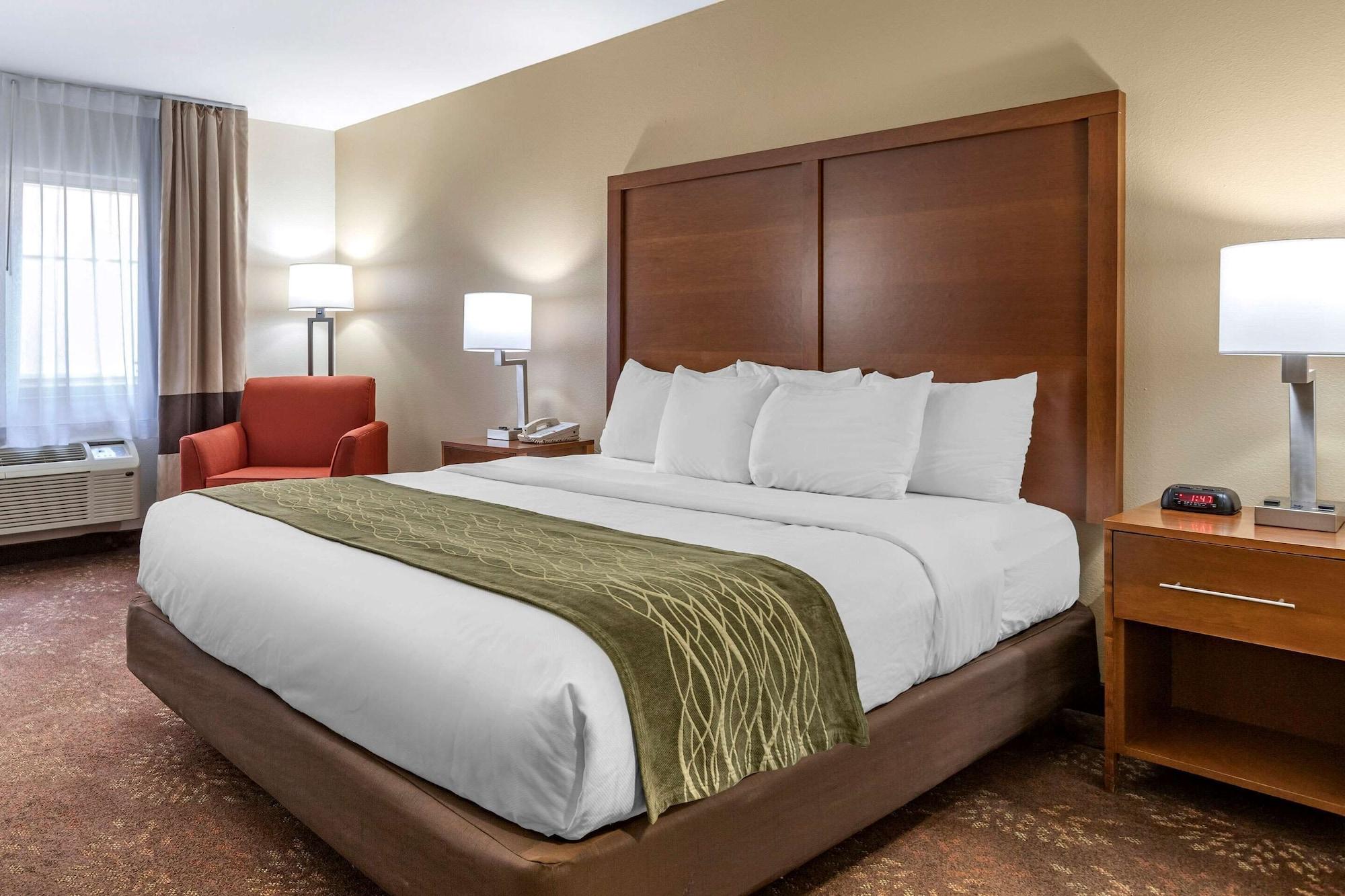 Comfort Inn Okemos - East Lansing Bagian luar foto