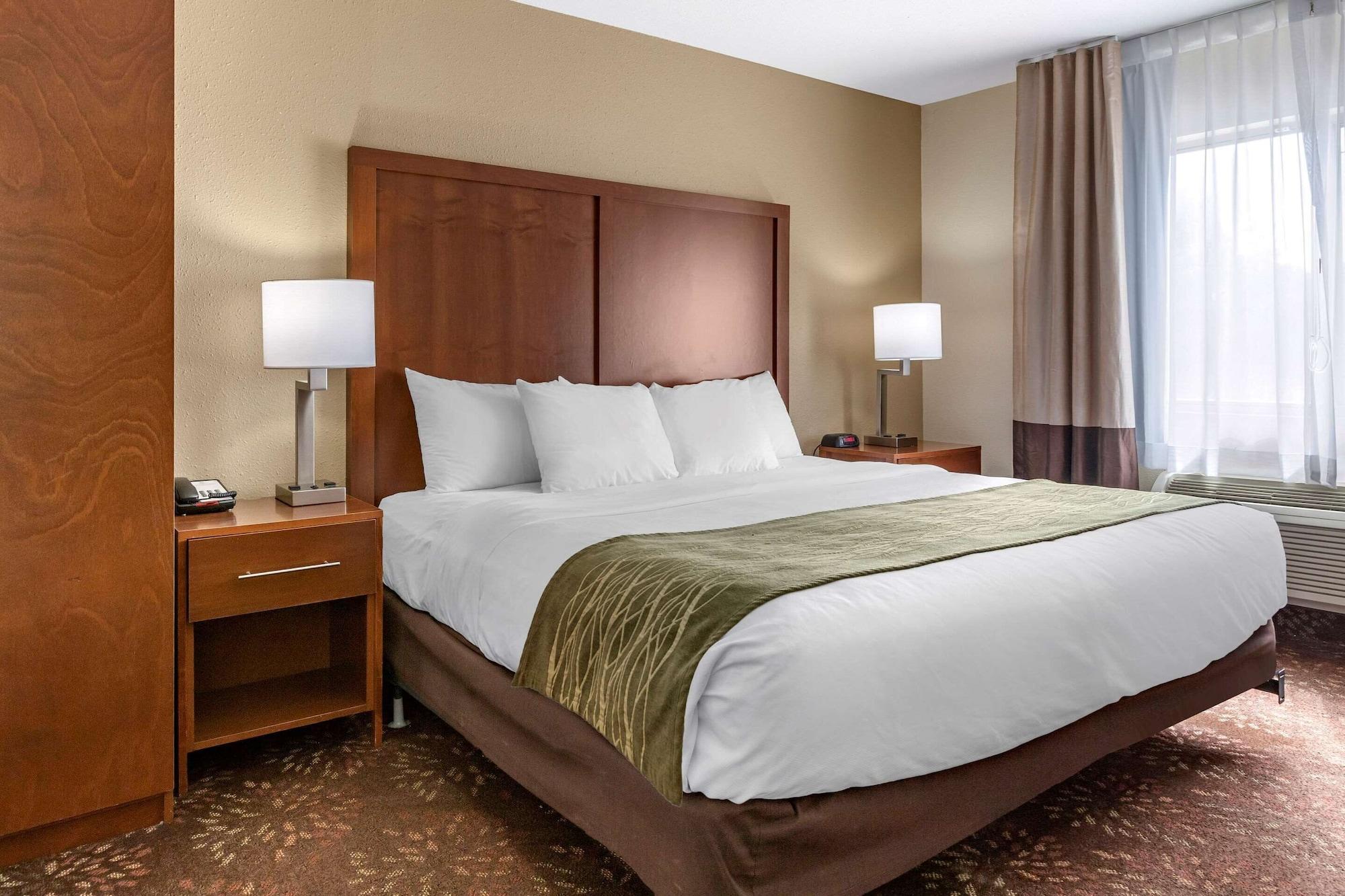 Comfort Inn Okemos - East Lansing Bagian luar foto