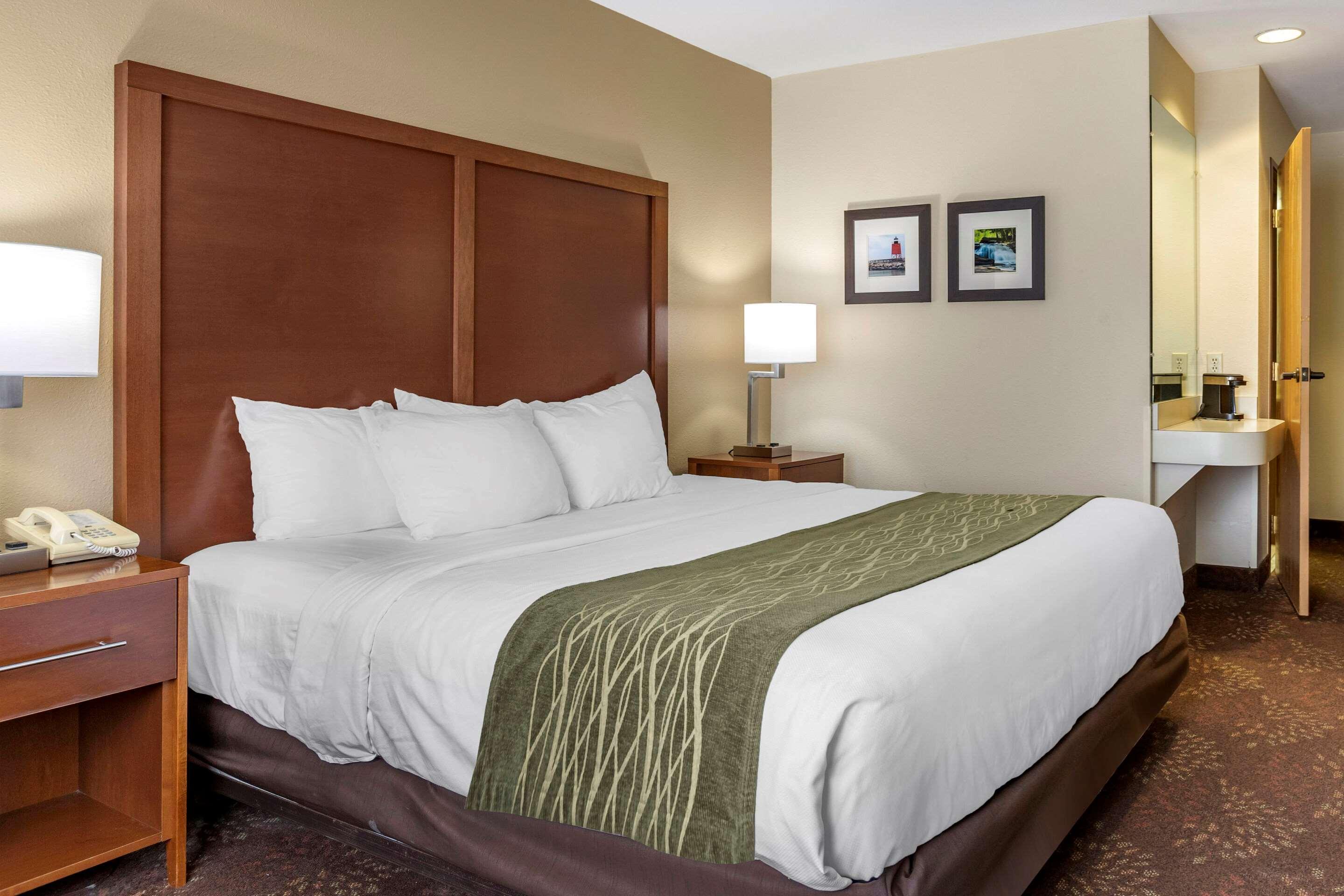 Comfort Inn Okemos - East Lansing Bagian luar foto