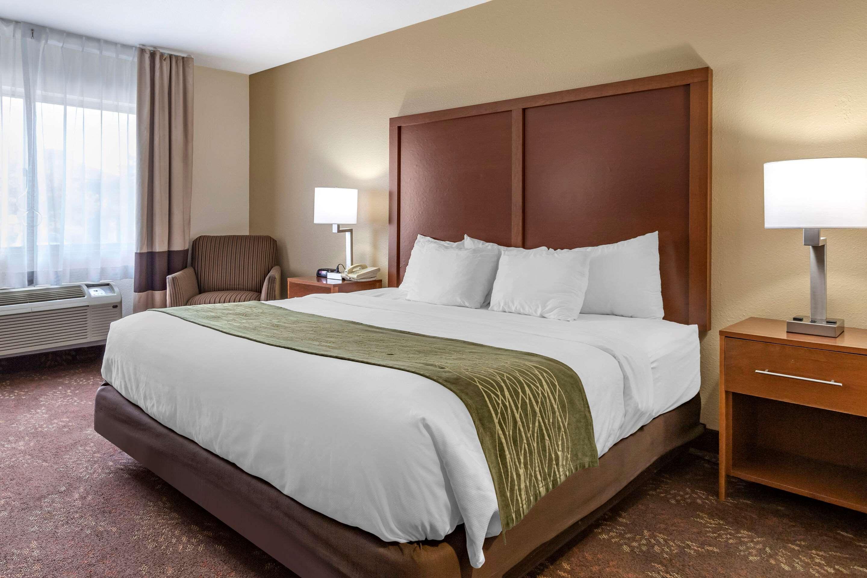 Comfort Inn Okemos - East Lansing Bagian luar foto